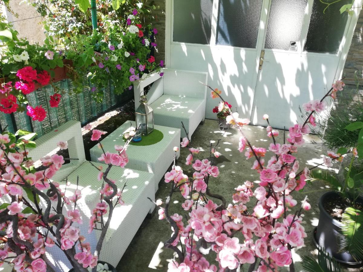 Apartman Teuta Zagabria Esterno foto