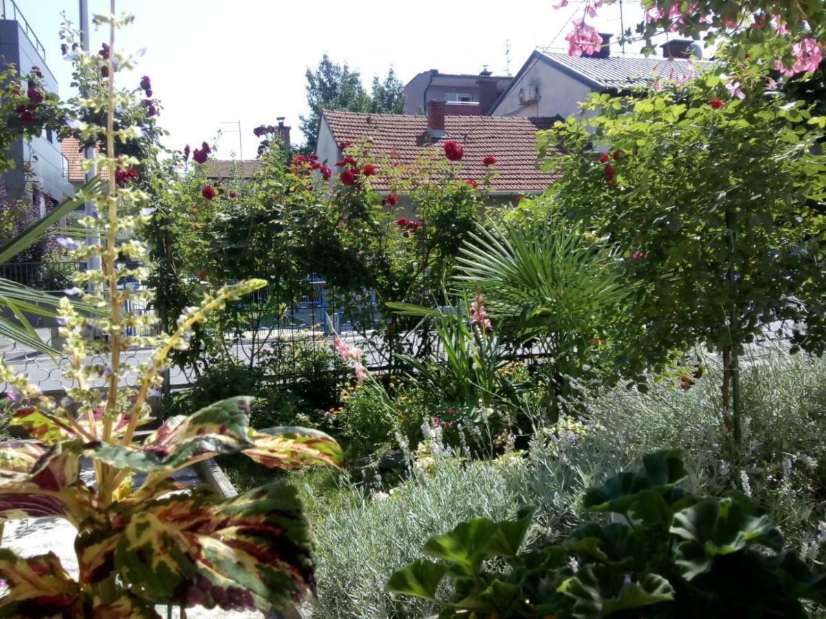 Apartman Teuta Zagabria Esterno foto
