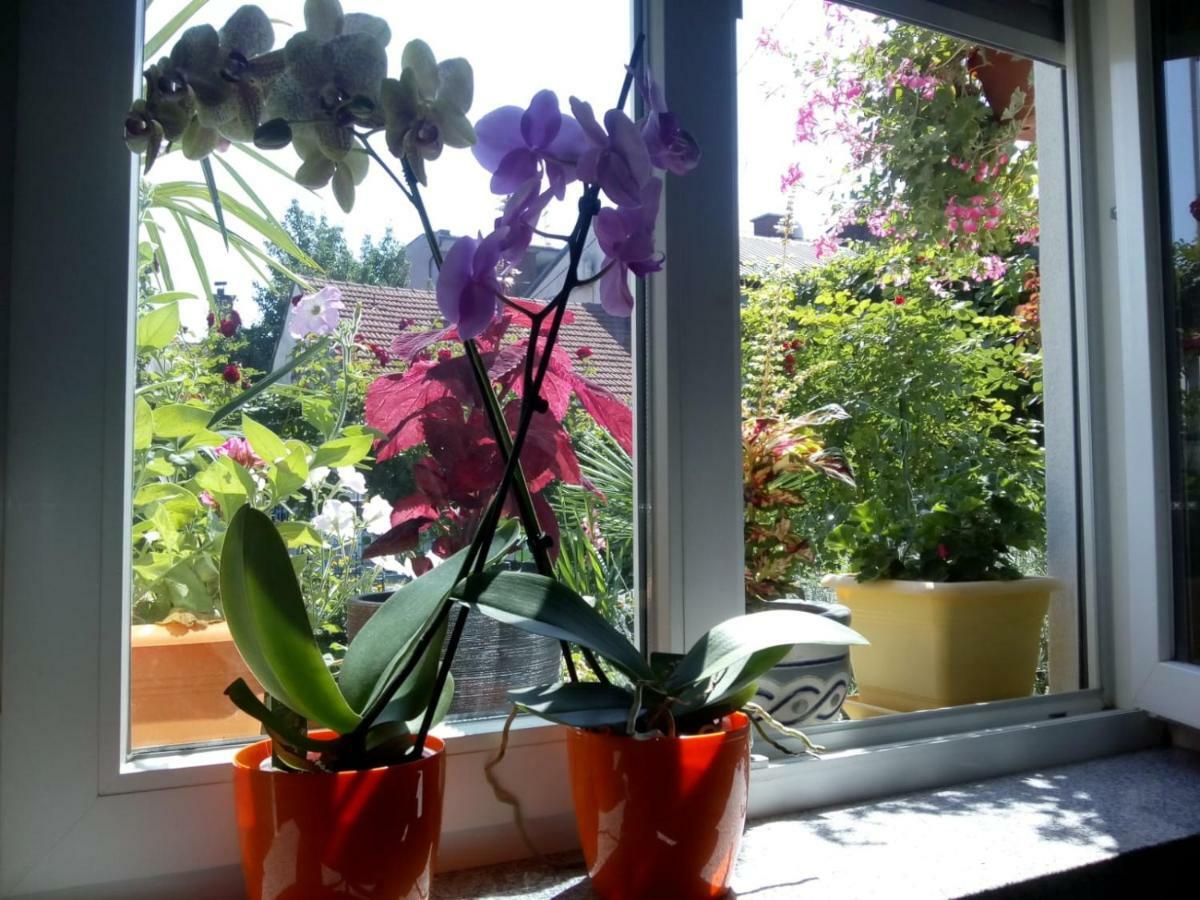Apartman Teuta Zagabria Esterno foto