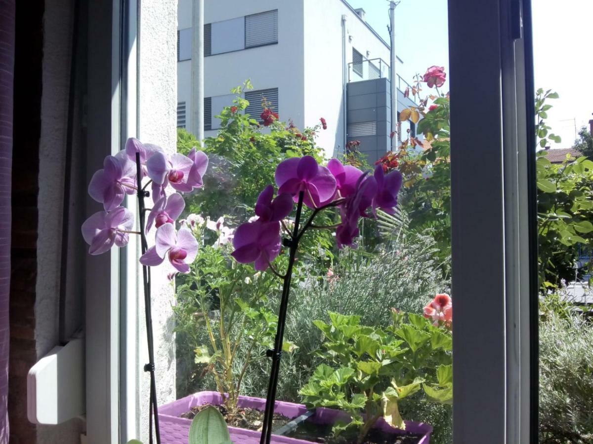 Apartman Teuta Zagabria Esterno foto