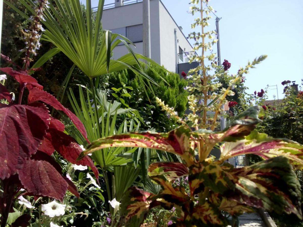 Apartman Teuta Zagabria Esterno foto
