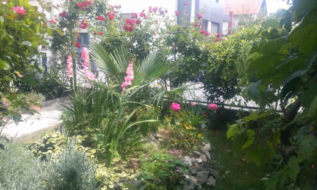 Apartman Teuta Zagabria Esterno foto